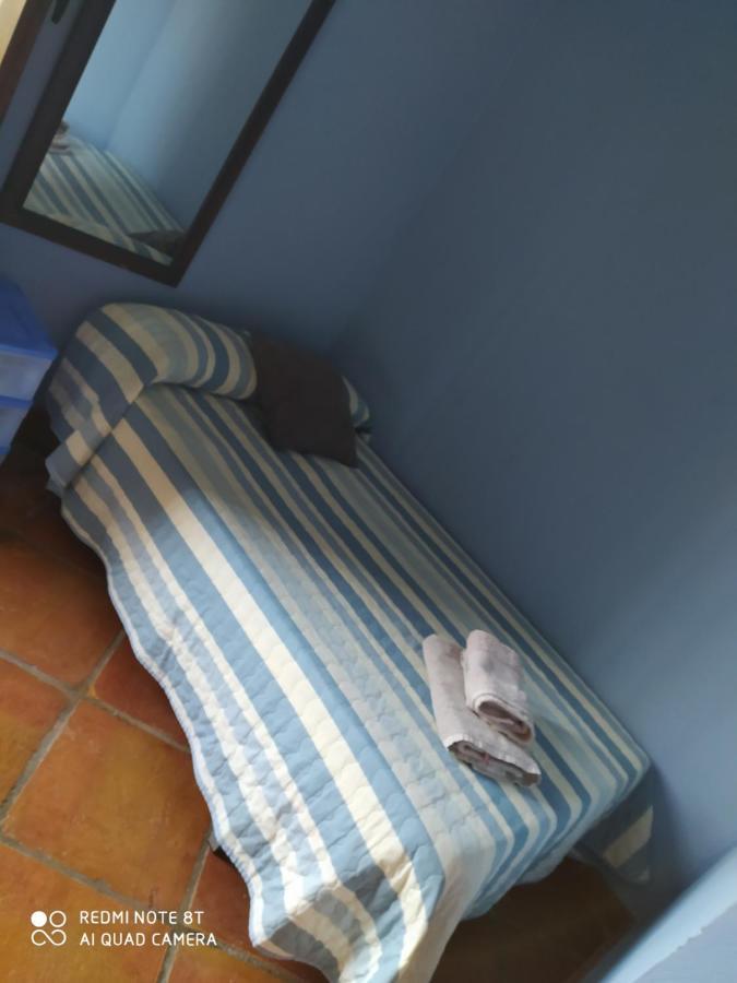 Casa Rural La Noria Los Palacios Y Villafranca Exteriör bild